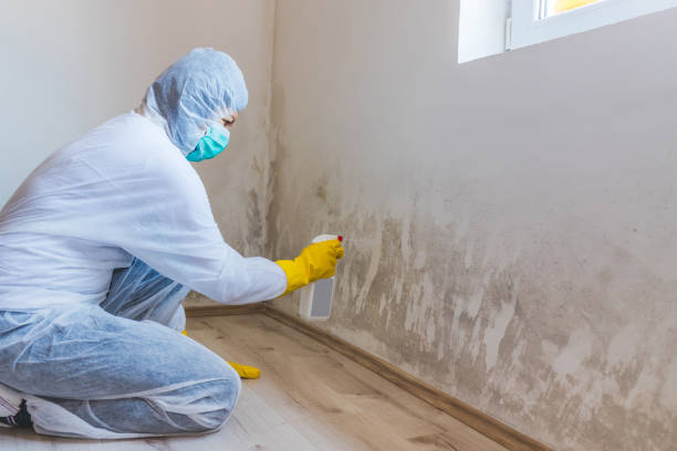 Mold Remediation specialist working in Chevy Chase