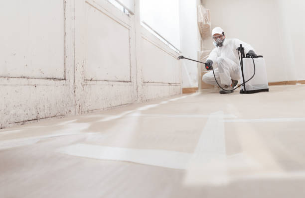 Black mold remediation team in Chevy Chase